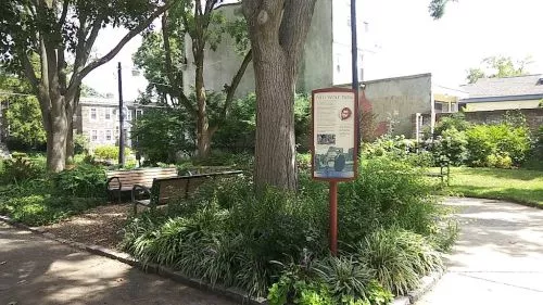 A calm oasis! A small green space on the corner of McCallum and Ellet. A great spot to sit and read