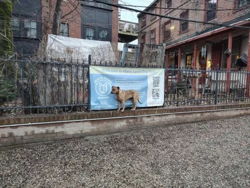 Don’t bring a small dog here my small dog almost got attacked by an untrained German Shepard and owner didn’t seem to care. 